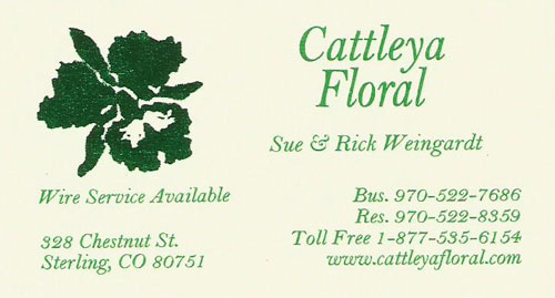 Cattleya Floral Logo