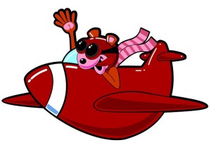 airplane